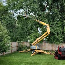 Pest Control for Lawns in Felton, DE